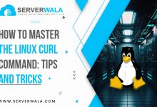 How to Master the Linux Curl Command: Tips and Tricks?