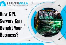 dedicated server gpu