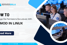 Change File Permissions Recursively With Chmod in Linux