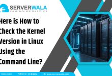 Kernel Version in Linux