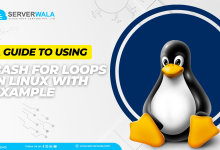 Using Bash For Loops in Linux