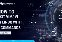 Exit Vim/ Vi in Linux