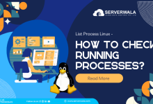 List Process Linux