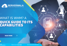 What is WHM? A Quick Guide To its Capabilities