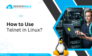 How to Use Telnet Command in Linux with Examples?