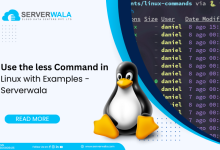 Use the less Command in Linux with Examples