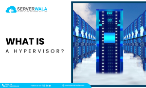 What Are Hypervisors: Definition, Types and Solutions
