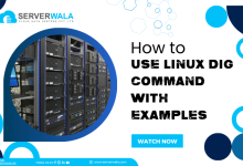 Linux Dig Command with Examples