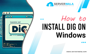 How to Install Dig on Windows? - Serverwala