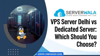 vps server delhi vs dedicated server